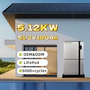 VictPower Factory Direct 5.12kWh Energy Storage System 51.2V 100Ah Lifepo4 battery